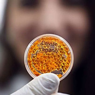 Embrapa cria salmão e caviar veganos em laboratório de nanotecnologia