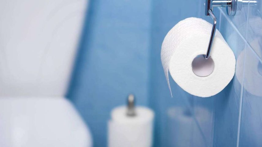 Por que o papel higiênico é branco: ciência da celulose e branqueamento