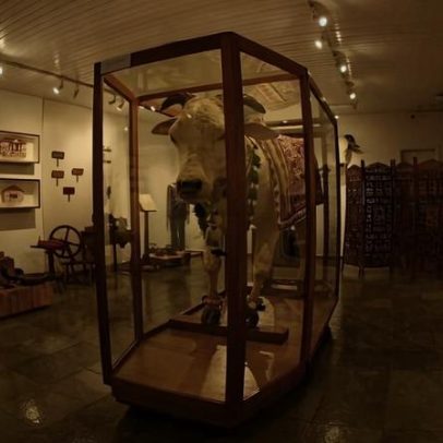 Museu em Uberaba apresenta história do gado zebu e memórias ferroviárias
