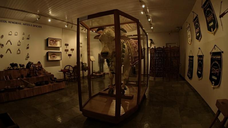 Touro karvadi que chegou ao Brasil na década de 1960 e que hoje, embalsamado, está exposto no Museu do Zebu, em Uberaba (MG)
