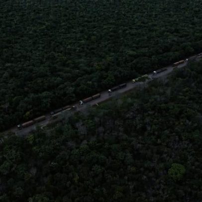 STF forma maioria para validar redução de parque na construção da Ferrogrão