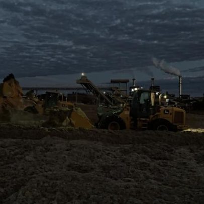 TCU suspende punições do RenovaBio e aponta falhas no mercado de créditos de carbono