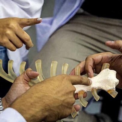 Mensalidade de cursos superiores cai no presencial e no EAD, exceto medicina
