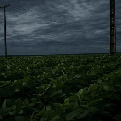 Agronegócio negocia linha de crédito para renegociar R$ 180 bi