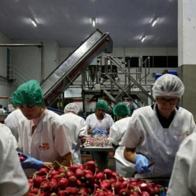 PIB cresce 1,1% no 1º tri com impulso de agro, indústria extrativa e serviços