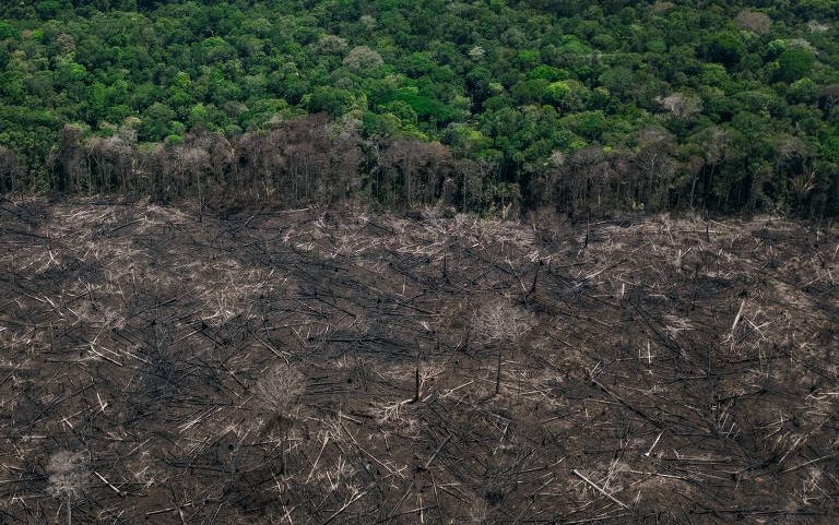 Área desmatada em trecho da rodovia AM-366, no município de Tapauá (AM). A abertura da estrada, feita sem o devido licenciamento ambiental, impulsionou a ocupação de terrenos ao longo da via para moradia, plantio e criação de gado