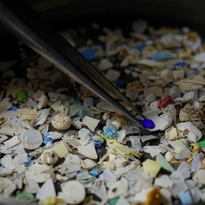 Cientistas encontram microplásticos e poluentes em águas profundas do Brasil