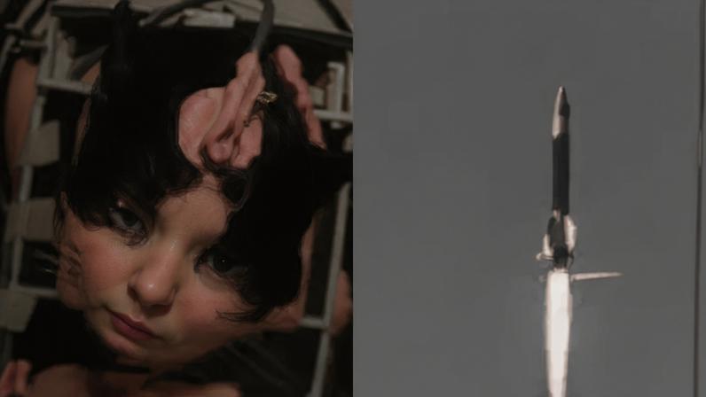 Gata francesa viajou ao espaço antes de Laika e teve destino trágico