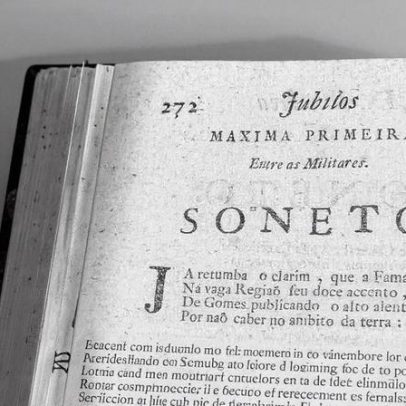 Inesquecíveis: leitura essencial sobre poesia feita por mulheres