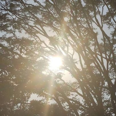 Sábado em São Paulo terá calor de 29°C antes da chegada de frente fria