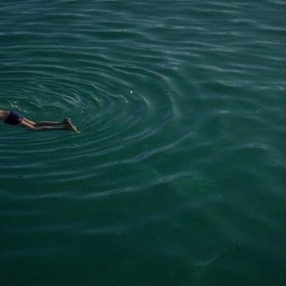 Censo marinho em Arraial do Cabo investiga origem de tartarugas e saúde oceânica