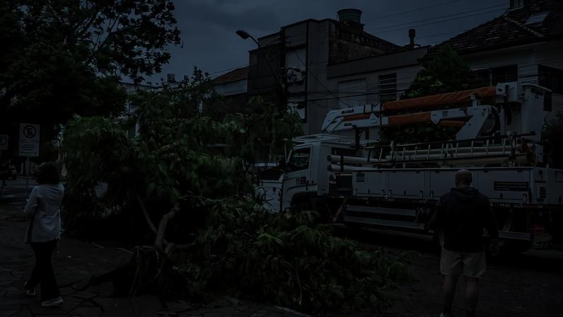 Árvore com raízes expostas caiu sobre a calçada e invade parte da rua em bairro residencial. Dois pedestres observam a cena enquanto caminhão com equipamento de elevação está estacionado próximo.