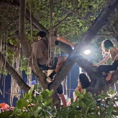 Fãs de Shakira sobem em árvores e compram bancos para ver show