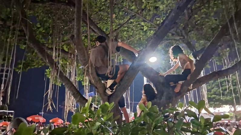 Fãs sobem em árvores antes de show de Shakira em Copacabana