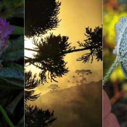 Amanhecer frio em SC com temperaturas negativas é registrado em vídeo
