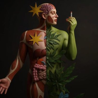 Médicos explicam o que você precisa saber sobre cannabis e saúde