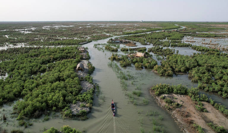Barco navega por canais em meio à vegetação nos pântanos de Chibayish, na província de Dhi Qar, Iraque