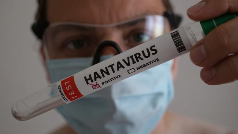 Hantavírus é de risco baixo, segundo OMS