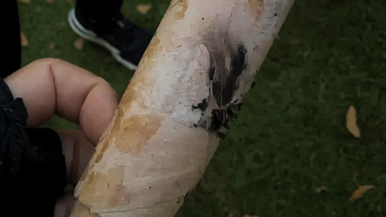 Ciclista registrou foguete que foi atirado contra ele na orla da Lagoa da Pampulha, em Belo Horiznte
