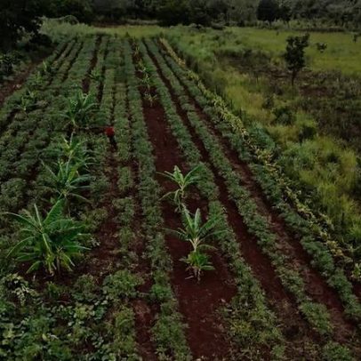 Agro quer Desenrola Rural turbinado, nova lei de recuperação e marco fundiário