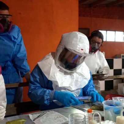 Paraná confirma dois casos de hantavírus; descarta relação com surto em cruzeiro