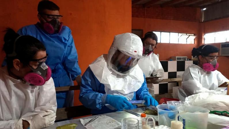 Equipes da Secretaria de Saúde do Paraná realizam monitoramento e análise laboratorial de hantavírus; estado confirmou dois casos da doença em 2026