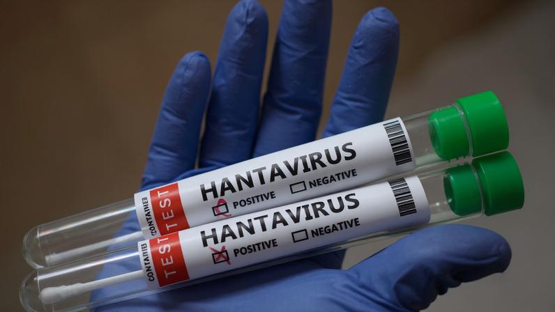 Surto de hantavírus causa mortes em cruzeiro no Atlântico