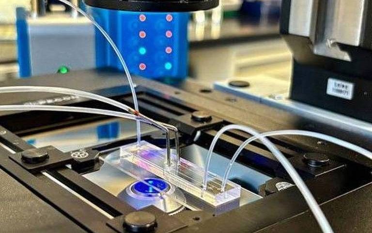 Dispositivo de microfluídica transparente conectado a tubos finos em bancada de laboratório. Equipamento óptico com luz azul ilumina a área de análise.