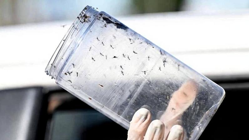 Pessoa vestindo equipamento de proteção individual, incluindo máscara e luvas, segura um frasco transparente para coleta dentro de uma caminhonete branca. Céu azul e ambiente urbano ao fundo.
