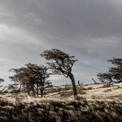 Viagem aos passos de Darwin até o fim do mundo