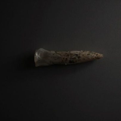 Dentes de Homo erectus sugerem nova mistura entre ancestrais