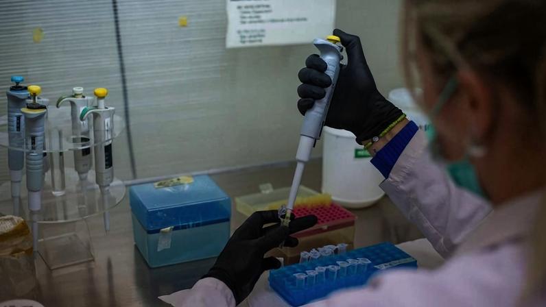 Técnica de laboratório analisa amostras de DNA no Laboratório de Genética e Evolução Populacional da Faculdade de Ciências Exatas, Físicas e Naturais em Córdoba, Argentina
