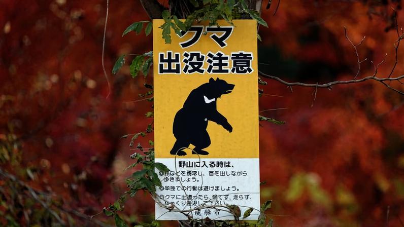 Uma placa de aviso sobre a presença de ursos é exibida no início de uma trilha perto de um pomar, em Hida, Japão