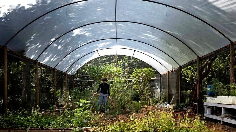 Espaço da Horta das Flores, localizada na Mooca, zona leste de São Paulo