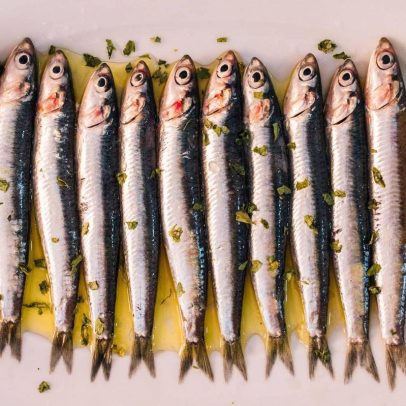 Sardinha é alimento barato e saudável: três razões para incluir na dieta