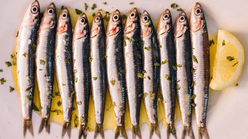 Os nutricionistas consideram as sardinhas como 'superalimento'