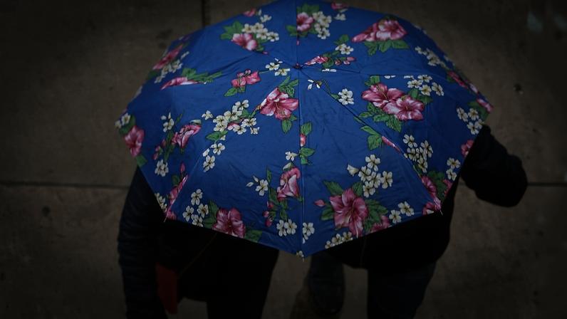 Duas pessoas caminham juntas sobre calçada molhada, protegidas por um guarda-chuva azul com estampa floral. Uma delas segura um objeto verde na mão esquerda.