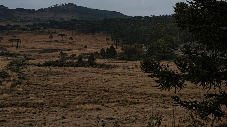 Campos encobertos por geada na zona rural de Bom Jardim da Serra, em Santa Catarina