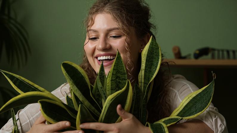 Mulher de cabelos cacheados e loiros sorri enquanto segura uma planta de língua-de-sogra com folhas verdes e bordas amarelas. Fundo verde claro com móveis desfocados ao fundo.