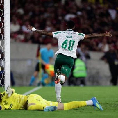 Palmeiras e Flamengo disputam o título