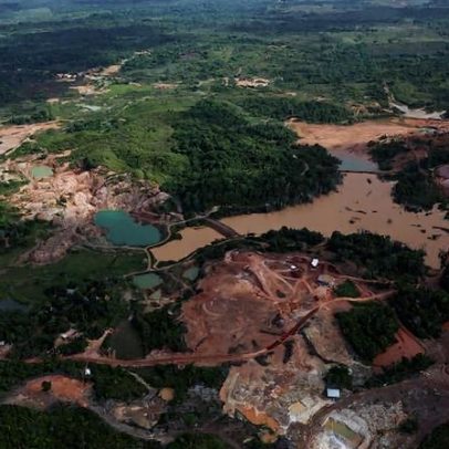 Garimpeiros saqueiam a Amazônia em busca de terras raras