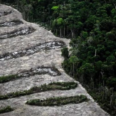 Desmatamento no Brasil atinge menor nível desde 2019, diz MapBiomas