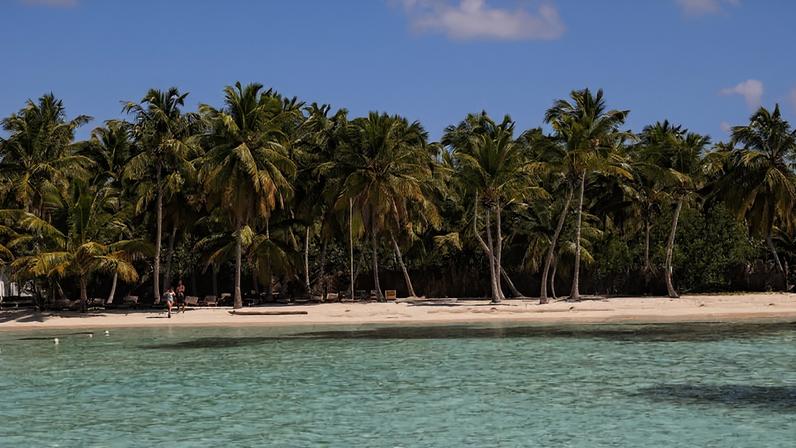 Ilha Saona que é um paraíso caribenho perto de Punta Cana, famosa por suas águas azul-turquesa, areias brancas e cenários naturais exuberantes, sendo o passeio de um dia mais popular, com paradas em piscinas naturais.