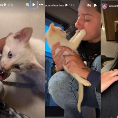 Ana Castela sofre reação alérgica após brincar com gatinho