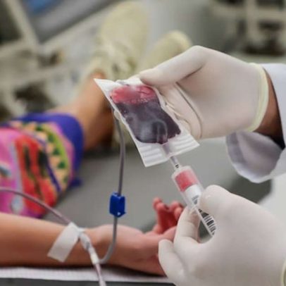 Projetos discutem pagar multas de trânsito com doação de sangue
