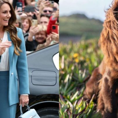 Como Kate Middleton treina seu novo pet