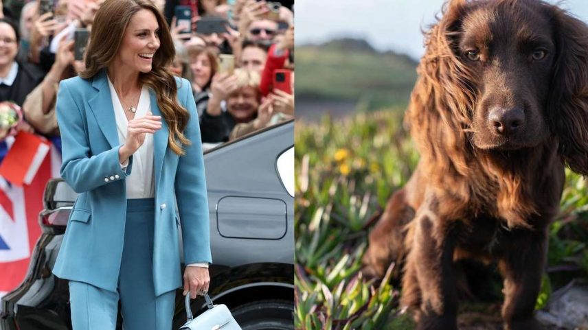 A estratégia de Kate Middleton é uma das mais recomendadas para evitar problemas de comportamento e garantir o bem