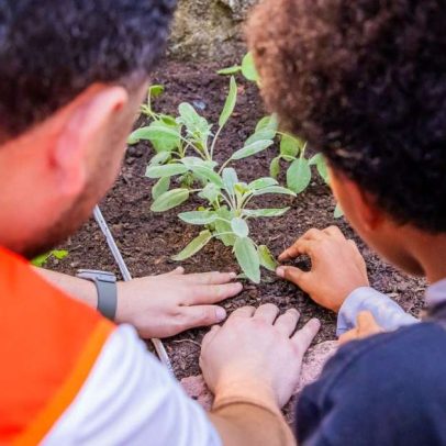 Enfermeiros de hospital de Porto Alegre plantam horta comunitária no Rubem Berta