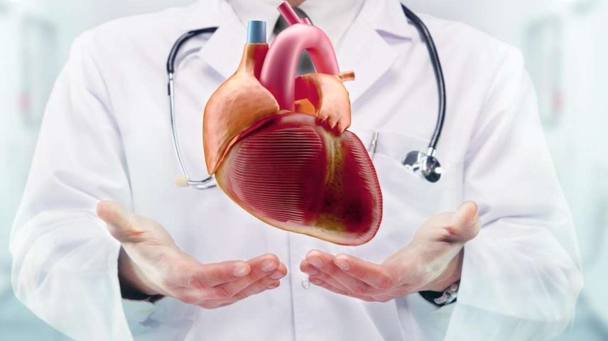Foto: Reprodução/Shutterstock