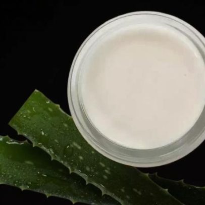 Babosa pode trazer benefícios à saúde e à estética